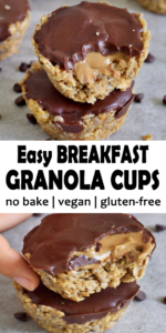 Easy Breakfast Granola Cups (No Bake) - Countsofthenetherworld.com